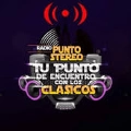 Radio Punto Stereo Chile - ONLINE